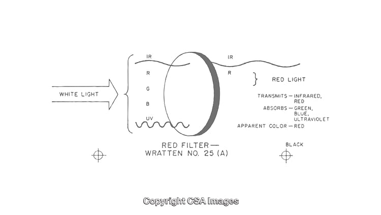 Detailed Diagram Explaining Red Filter Light Transmission and Absorption