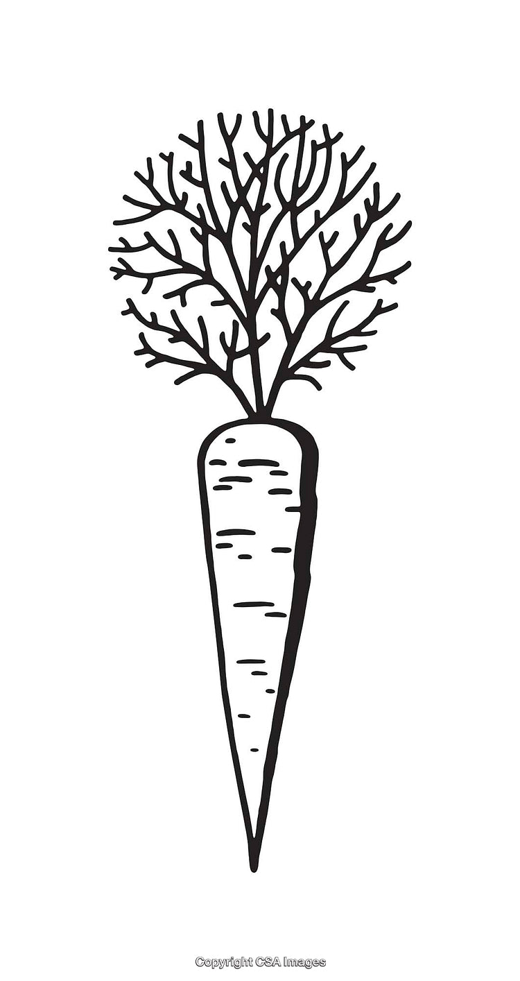 Black And White Line Art Illustration of a Carrot with Detailed Leaves
