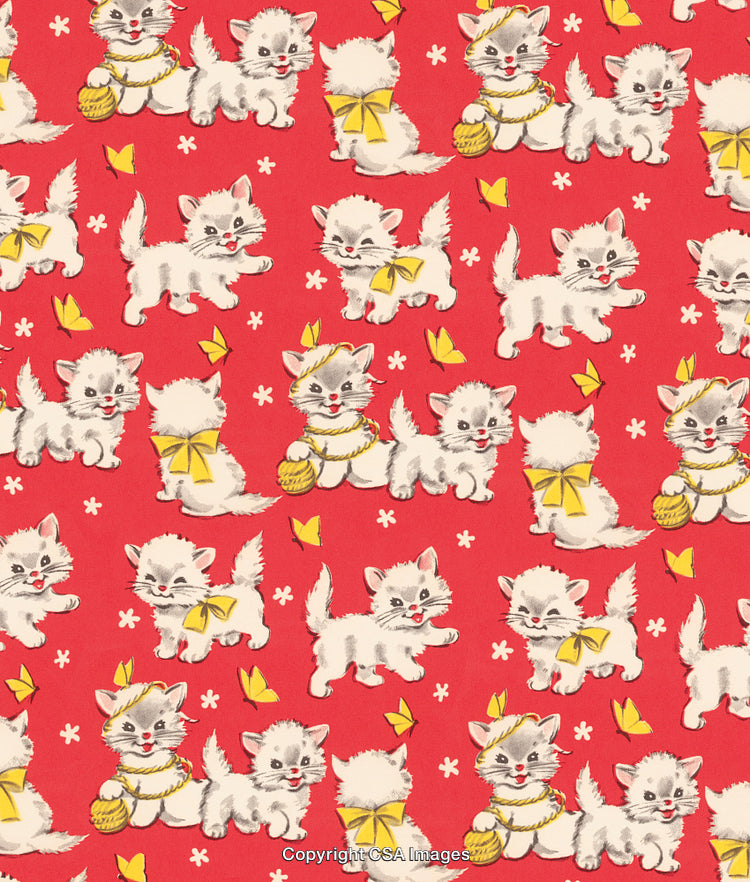 Cute Kittens