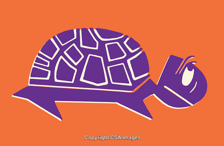 Colorful Line Art Illustration of a Purple Turtle on Orange Background