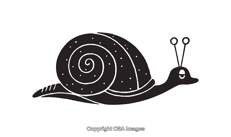 Black and White Line Art Illustration of a Snail Illustration