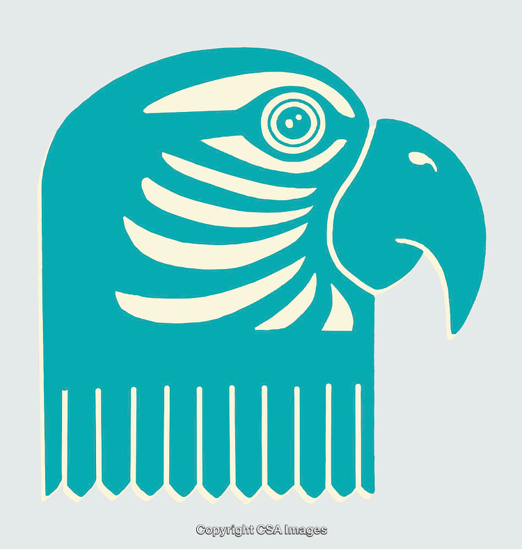 Abstract Line Art Illustration of a Parrot's Head in Profile