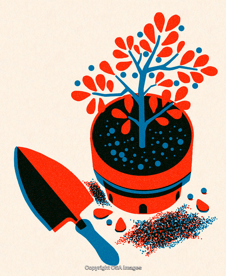 Colorful Illustrated Gardening Scene with Potted Plant and Trowel