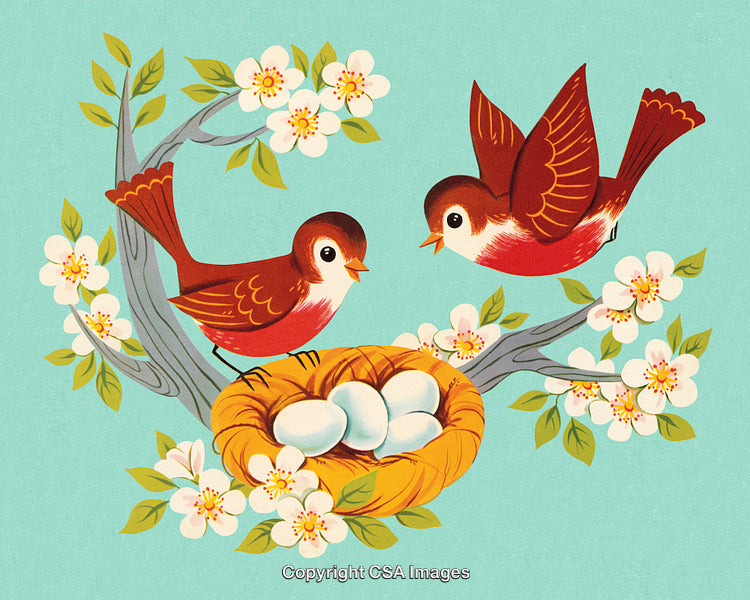 Vintage Illustration of Birds Tending a Nest in a Blossoming Tree