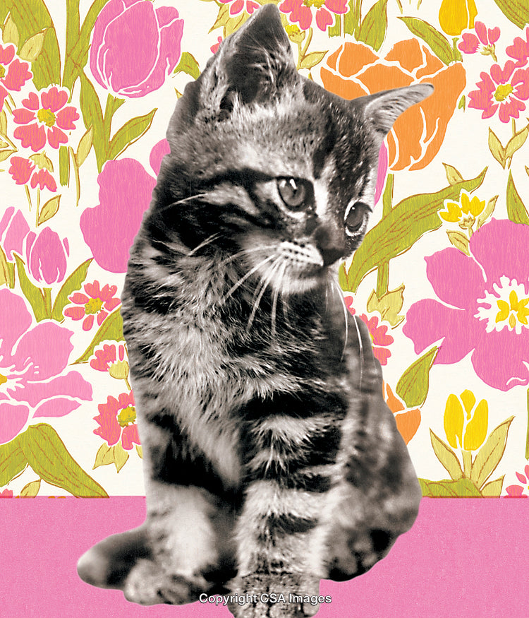 Vintage Stylized Kitten with Floral Background and Bold Pastel Colors