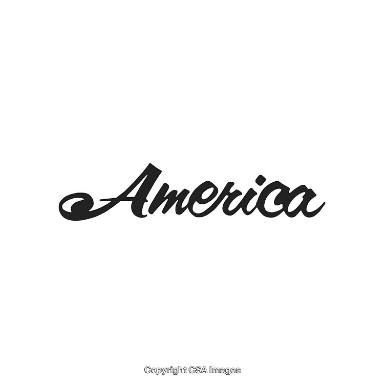Stylish Black Calligraphy of the Word 'America' on a White Background