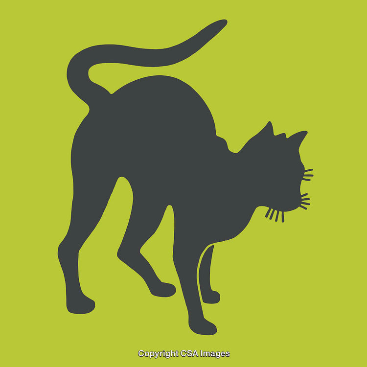 Black Cat Silhouette Illustration on Vibrant Yellow Green Background