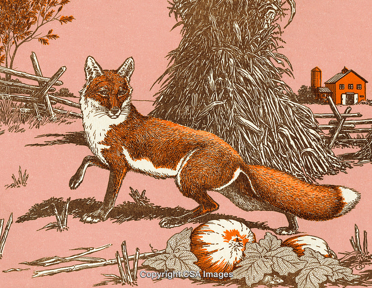 Rustic Art Of A Fox Intriguing A Haystack With Country Farm Scenery