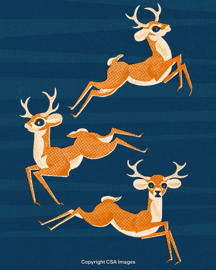 Illustration of Jumping Deer with Playful and Whimsical Style