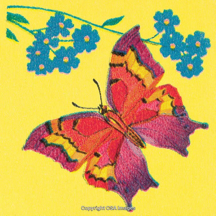 Vivid Pink Butterfly on Yellow Background with Blue Flowers