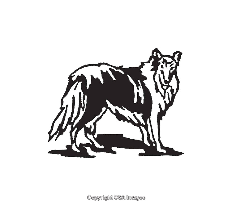 Vintage Black And White Collie Dog Line Art Illustration