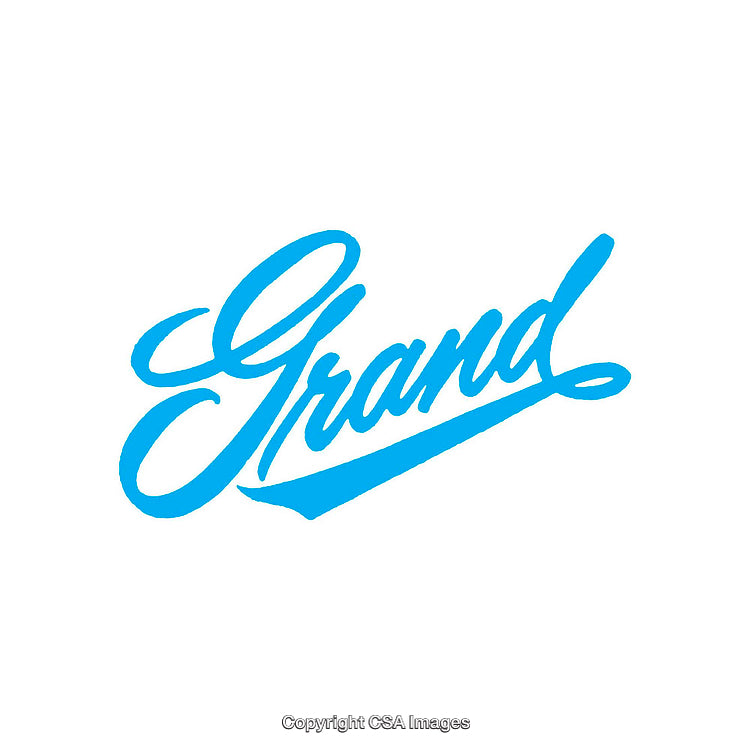 Elegant Cursive Wordmark Logo in Vibrant Blue on White Background