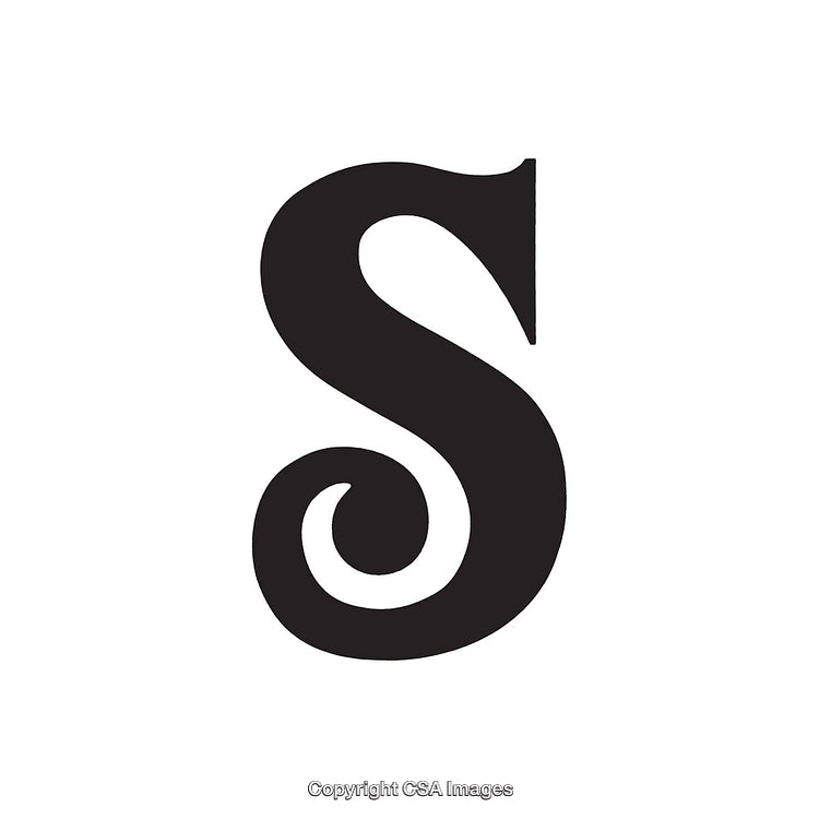 Black Stylish Letter S With Serif Style on White Background
