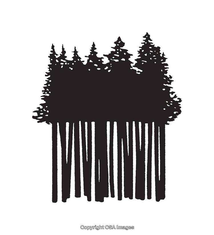 Black and White Forest Themed Silhouette with Pine Trees Artwork