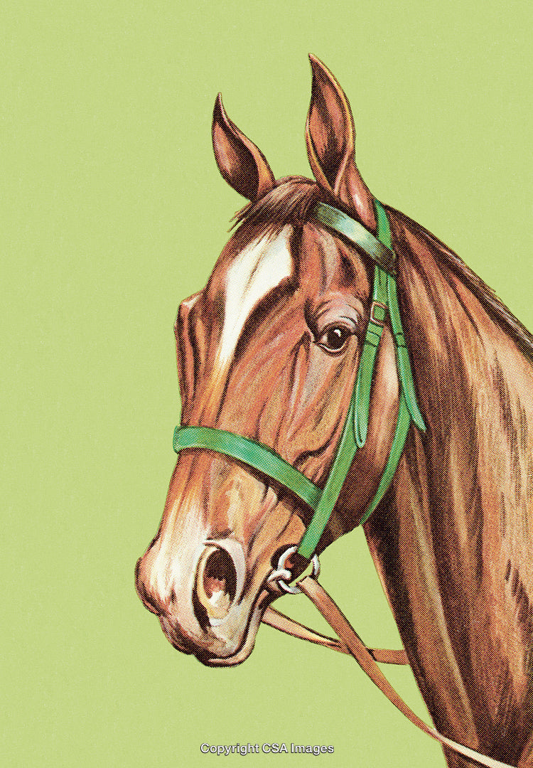 Illustration of a Brown Horse's Head With Green Bridle on Light Background