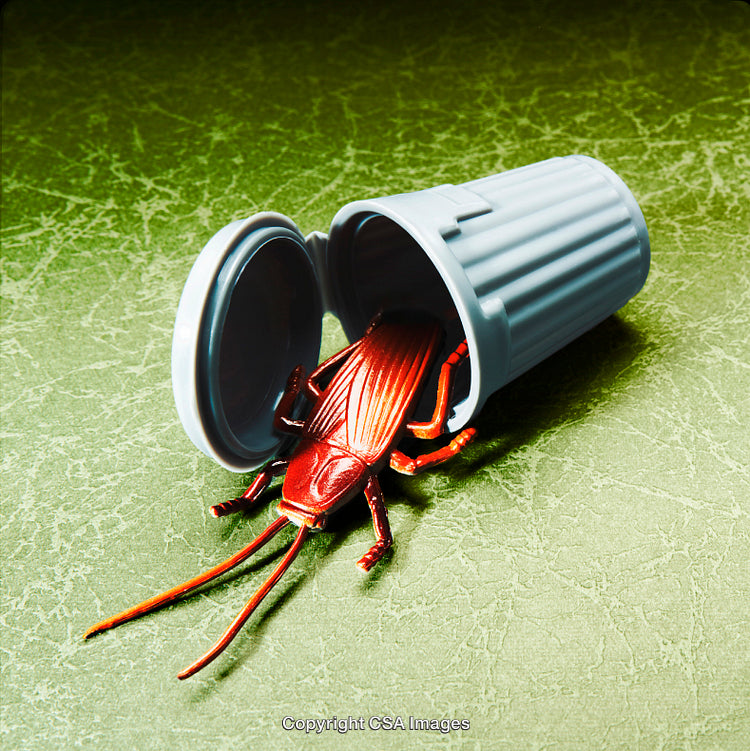 Plastic Insect Toy Emerging from Miniature Trash Can on Green Surface