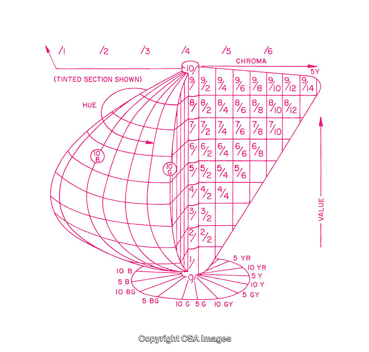 Diagram Illustrating the Munsell Color System with Chroma and Hue Details