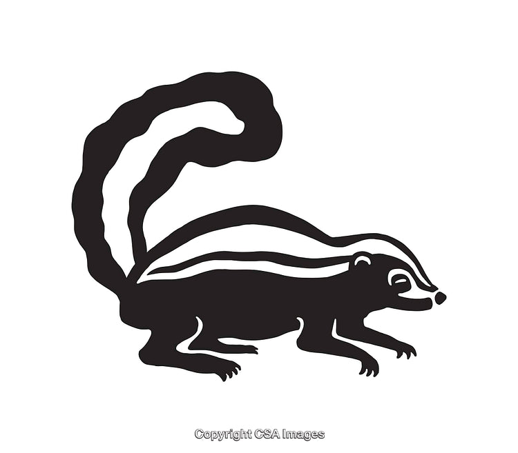 Stylized Black and White Line Art Illustration of a Skunk