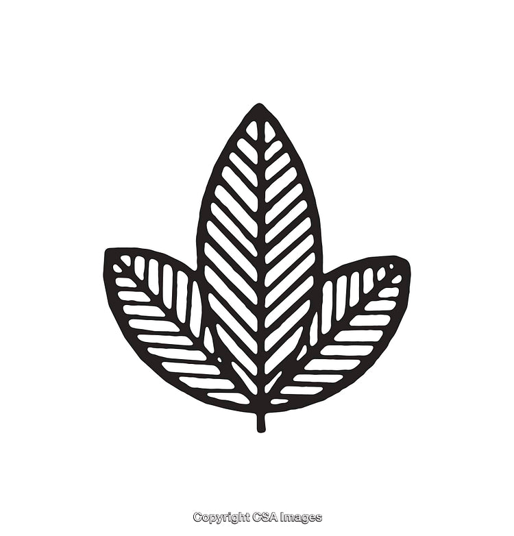Black and White Line Art Illustration of a Leaf with Symmetrical Design