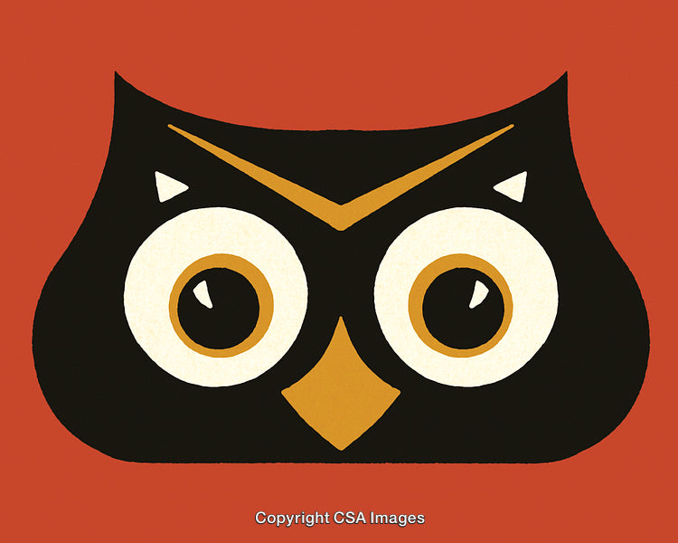 Vintage Style Abstract Illustration of an Owl with Large Eyes