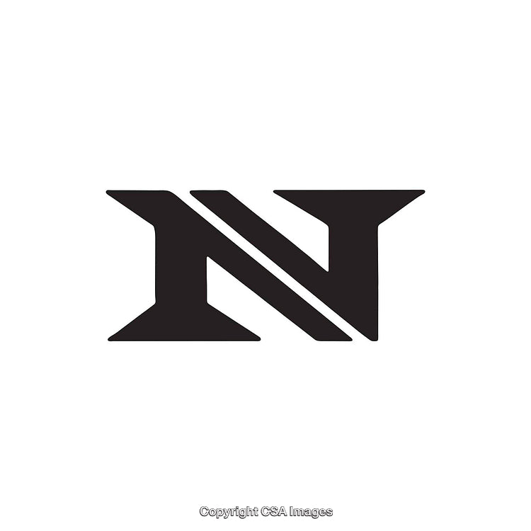 Bold Monochrome Letter N Logo in a Modern Serif Typeface