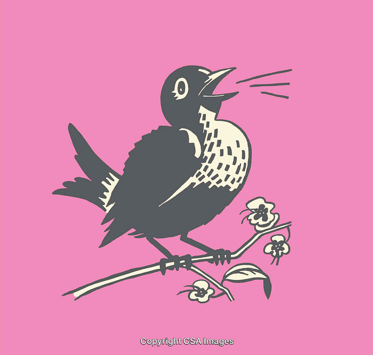 Chirping Bird Perched on a Flowering Branch in Vintage Line Art