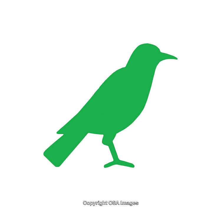 Green Silhouette of a Standing Bird Isolated on White