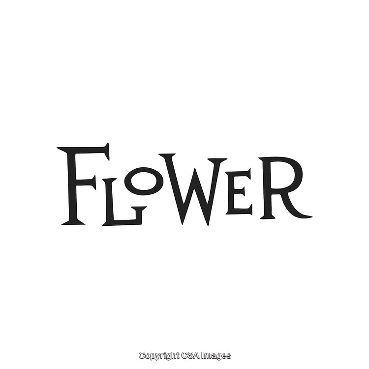 Creative Stylized Word Art Design Reading the Word 'Flower' in Black Text