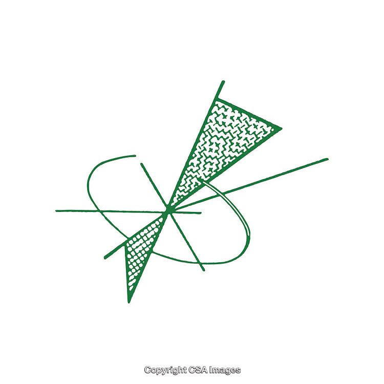 Abstract Green Shape with Organic Patterns and Geometric Elements