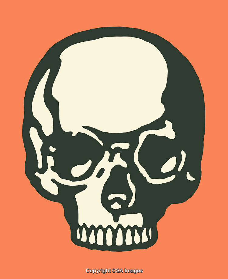 Color Line Art Illustration of a Skull on an Orange Background