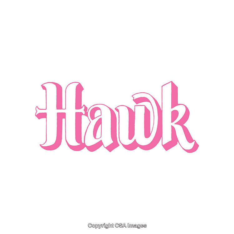 Pink Hawk Typography With Bold Elegant Lettering on White Background