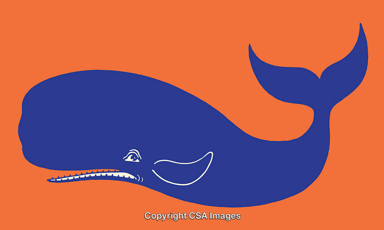 Blue Whale Illustration on Bright Orange Background in Stylized Line Art