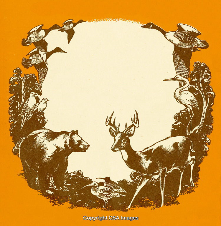 Vintage Wildlife Illustration Featuring Various Animals in a Natural Setting