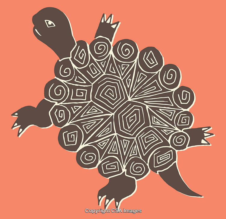 Geometric Line Art Illustration of a Turtle on Coral Background