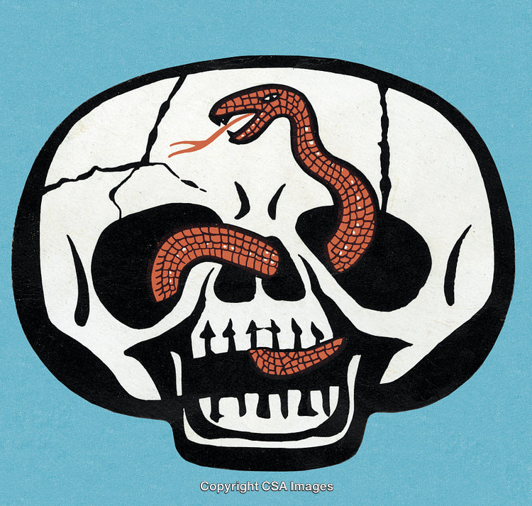 Illustration of Skull with Snake Symbolizing Death and Mystery on Blue Background