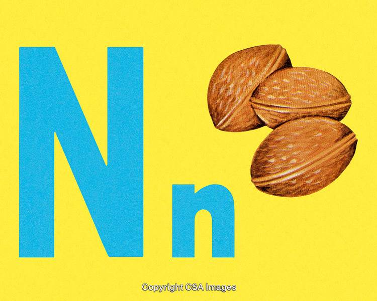 Alphabet Illustration for Letter N with Nuts on Bright Yellow and Blue Design