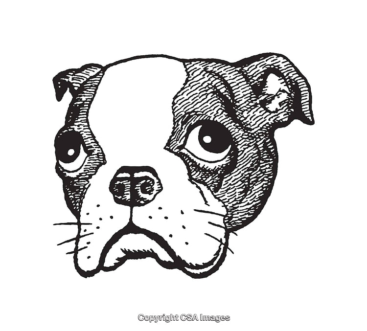Detailed Black and White Line Art Illustration of a Dog's Face
