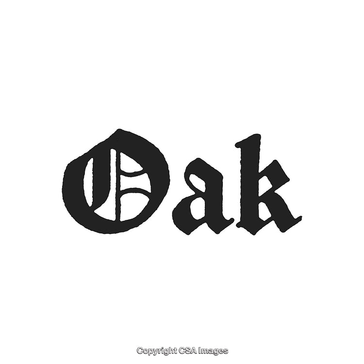 Vintage Typography Art Featuring Ornamental Serif-Style Lettering With Bold Figures