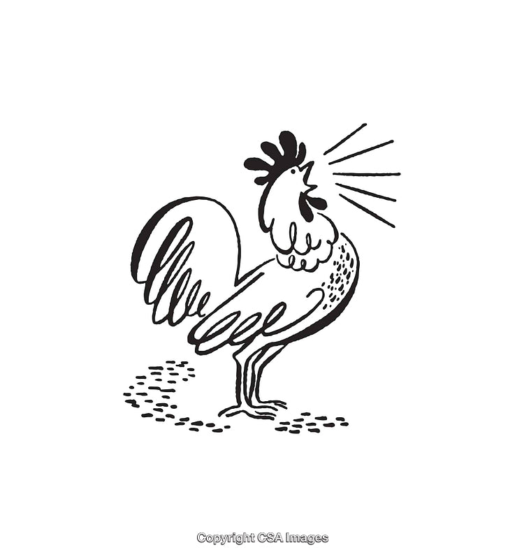 Black and White Line Art of a Rooster Crowing in Simple Style