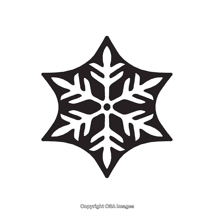 Black and White Snowflake-Shaped Dingbat Icon with Bold Design