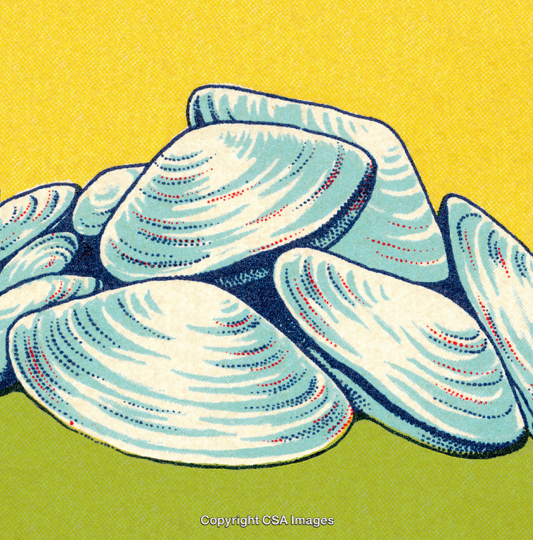 Vibrant Illustration of Seashells on a Bright Yellow and Green Background