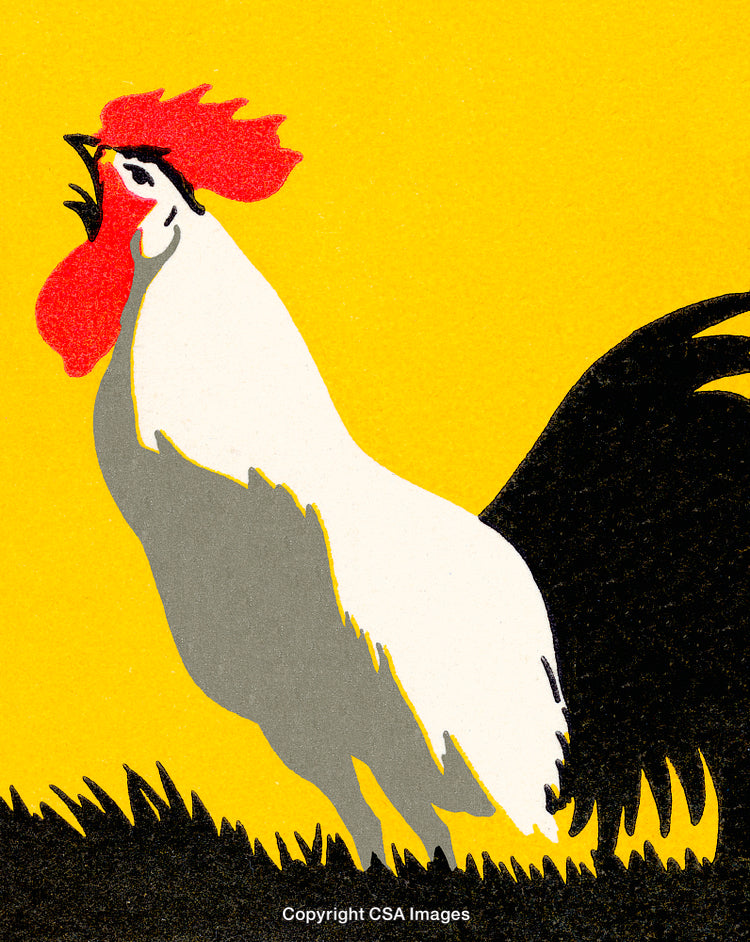 Illustrated Rooster Crowing on a Vibrant Yellow Background