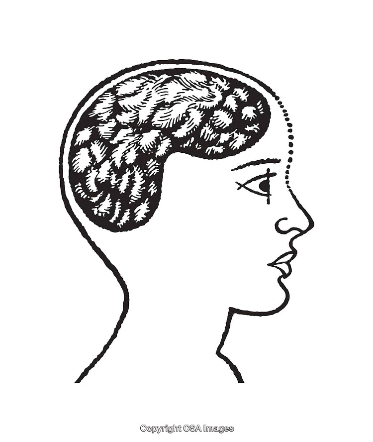 Black and White Line Art Illustration of a Human Brain Profile