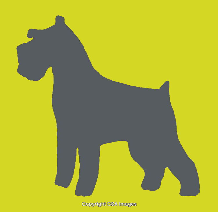 Silhouette of a Schnauzer Dog Against a Bright Yellow Background