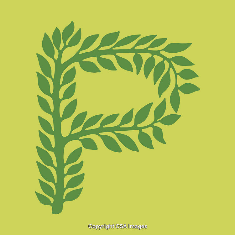 Creative Letter P Design Formed with Green Leaves on Yellow Background