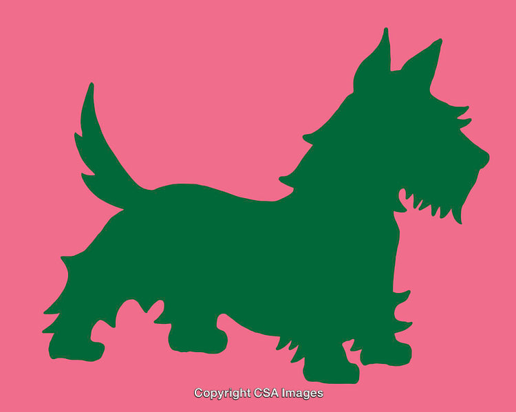 Colorful Silhouette Art of a Dog in a Vibrant Design