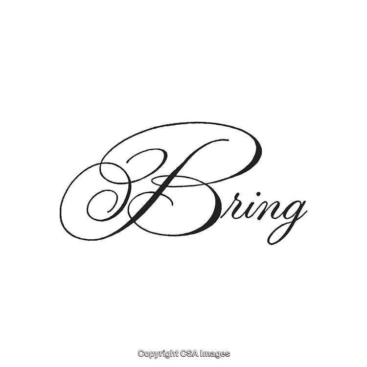 Elegant Calligraphy Text Design With the Word 'Bring' in Stylish Font