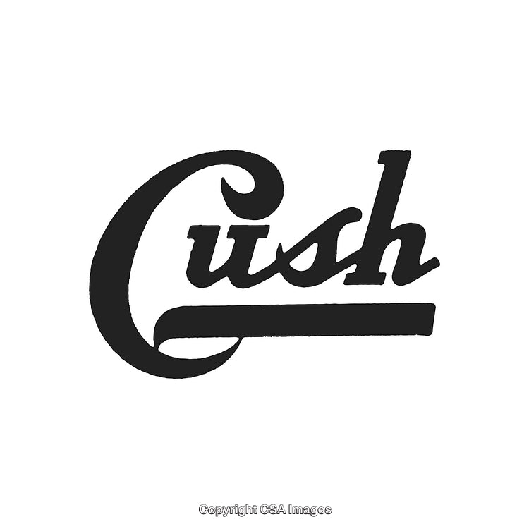 Stylized Artistic Typography Featuring the Word 'Cush' in Bold Handwritten Style