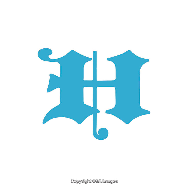 Blue Ornate Letter G in Gothic Calligraphy on White Background