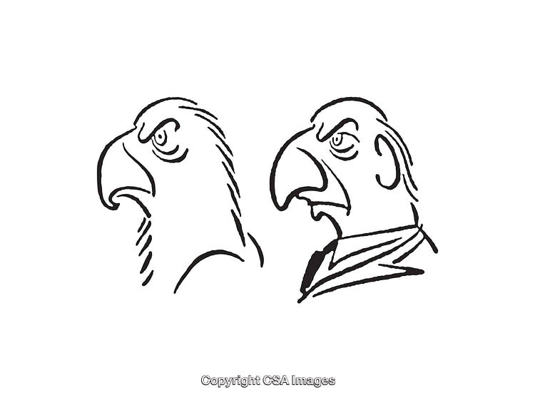 Black and White Line Art Depicting Eagle Portraits and Expressions